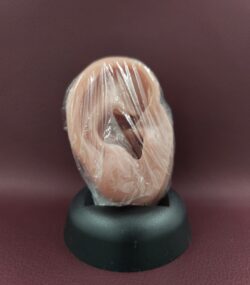 Oorhoesjes 5 stuks - Afbeelding 3